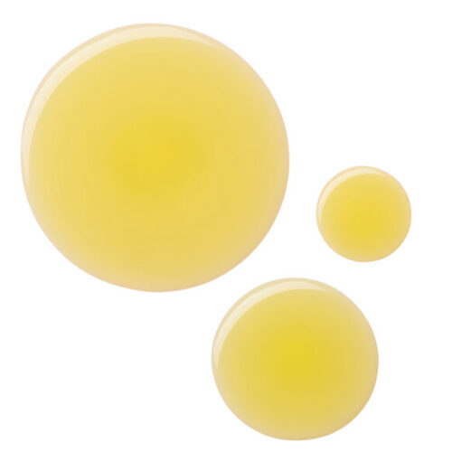 Dr. Barbara Sturm  Ceramide Drops Face Oil 30ML - Image 2